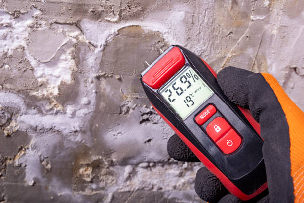 Best Mold Damage Repair  in Aliquip, PA